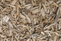 biomass boilers Rhiconich